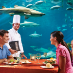 Sharks Underwater Grill SW